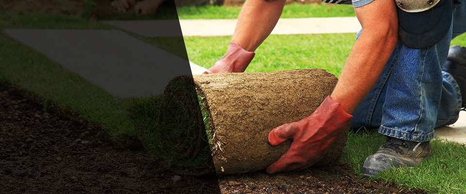 Allenhurst Landscapers